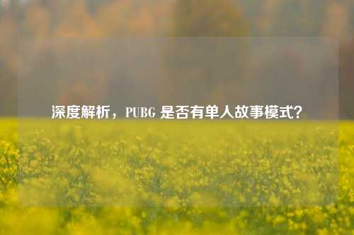 深度解析,PUBG 是否有单人故事模式?
