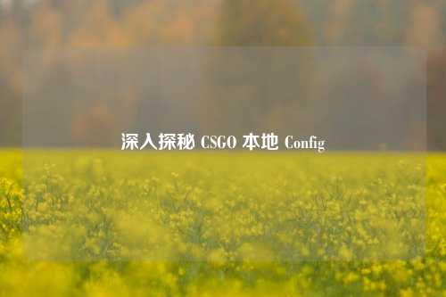 深入探秘 CSGO 本地 Config