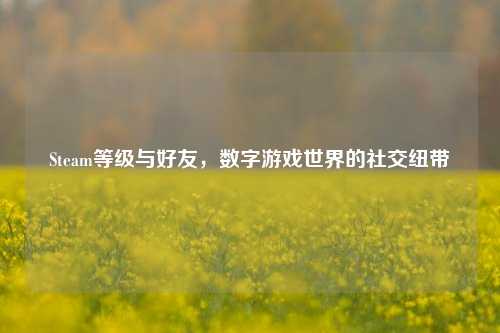 Steam等级与好友，数字游戏世界的社交纽带