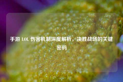 手游 LOL 伤害机制深度解析，决胜战场的关键密码