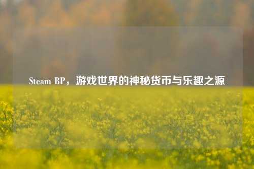 Steam BP，游戏世界的神秘货币与乐趣之源