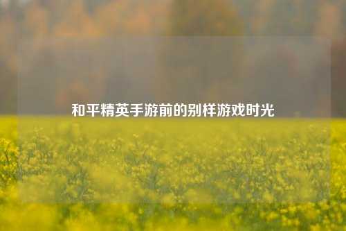 和平精英手游前的别样游戏时光