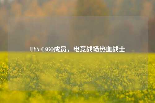 UYA CSGO成员，电竞战场热血战士