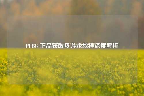 PUBG 正品获取及游戏教程深度解析