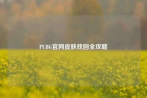 PUBG官网皮肤找回全攻略