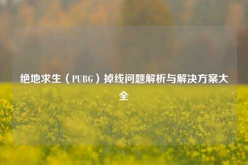 绝地求生（PUBG）掉线问题解析与解决方案大全