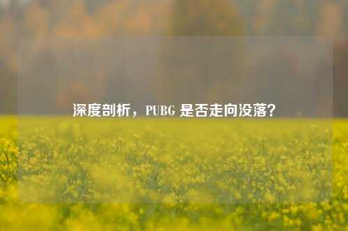 深度剖析，PUBG 是否走向没落？