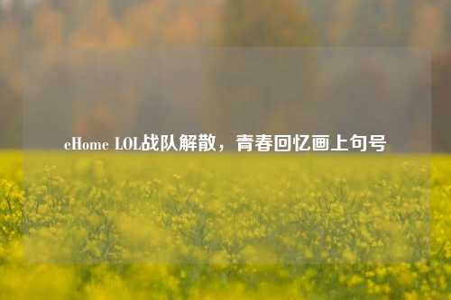 eHome LOL战队解散，青春回忆画上句号
