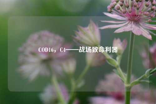 COD16，C4——战场致命利器