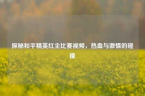 探秘和平精英红尘比赛视频，热血与激情的碰撞