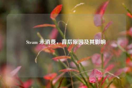 Steam 未消费，背后原因及其影响