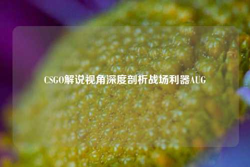 CSGO解说视角深度剖析战场利器AUG
