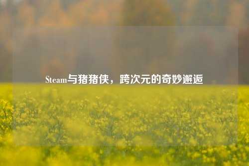 Steam与猪猪侠，跨次元的奇妙邂逅