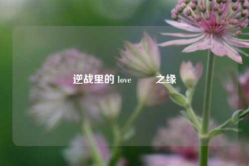 逆战里的 love 囍囍之缘