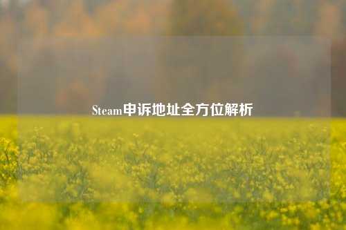 Steam申诉地址全方位解析