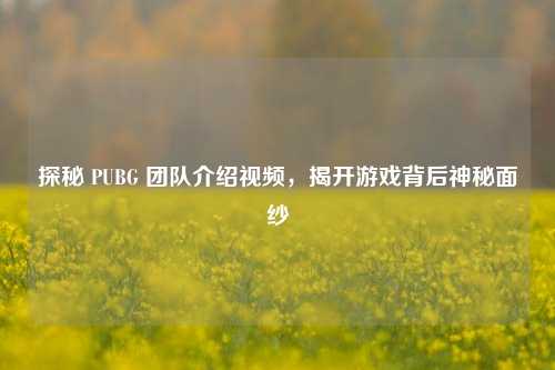 探秘 PUBG 团队介绍视频，揭开游戏背后神秘面纱