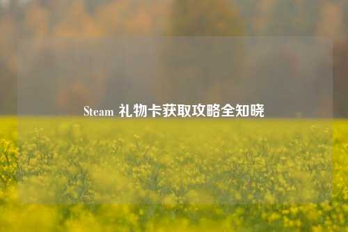 Steam 礼物卡获取攻略全知晓