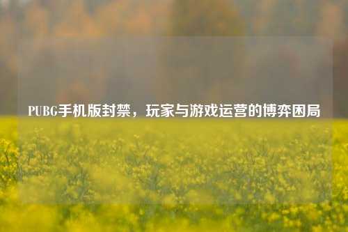 PUBG手机版封禁，玩家与游戏运营的博弈困局