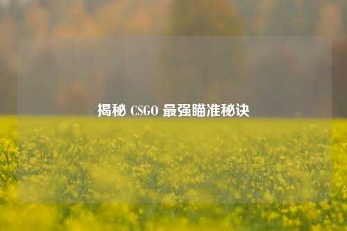 揭秘 CSGO 最强瞄准秘诀