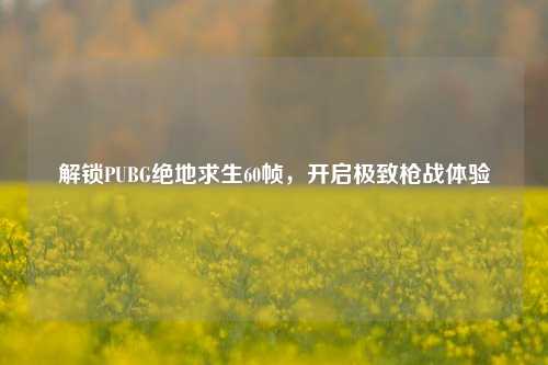 解锁PUBG绝地求生60帧，开启极致枪战体验