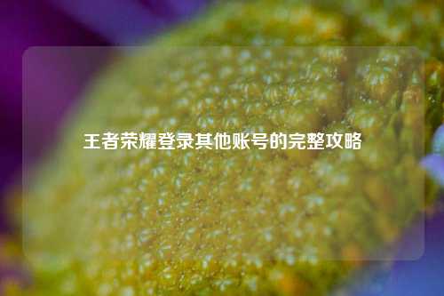 王者荣耀登录其他账号的完整攻略