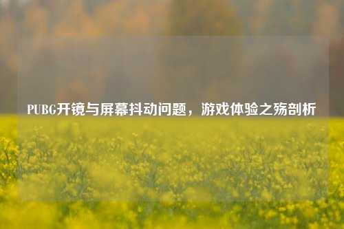 PUBG开镜与屏幕抖动问题，游戏体验之殇剖析