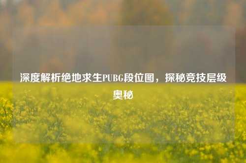 深度解析绝地求生PUBG段位图，探秘竞技层级奥秘