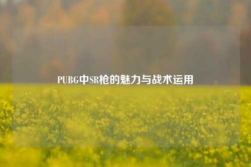 PUBG中SR枪的魅力与战术运用