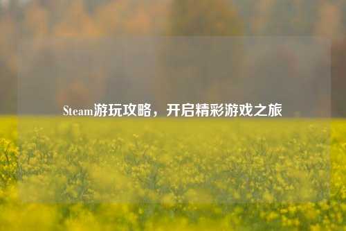 Steam游玩攻略，开启精彩游戏之旅