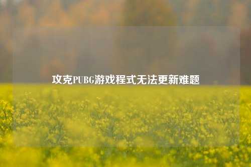 攻克PUBG游戏程式无法更新难题