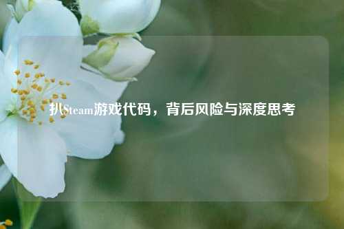 扒Steam游戏代码，背后风险与深度思考