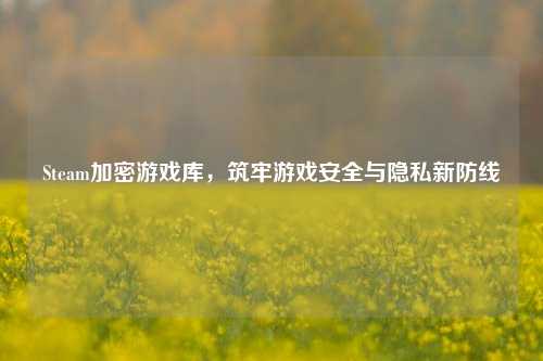 Steam加密游戏库，筑牢游戏安全与隐私新防线