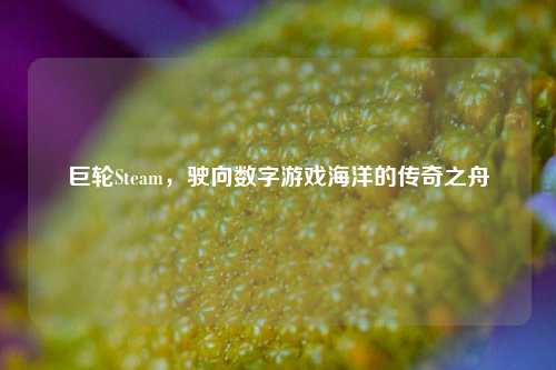 巨轮Steam，驶向数字游戏海洋的传奇之舟