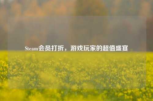 Steam会员打折，游戏玩家的超值盛宴
