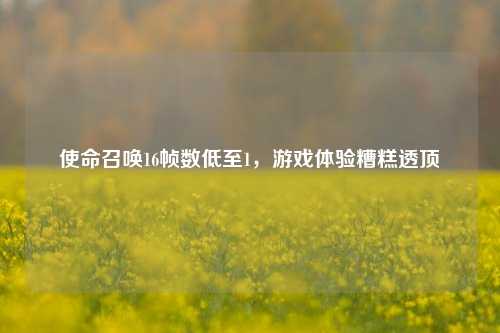 使命召唤16帧数低至1,游戏体验糟糕透顶