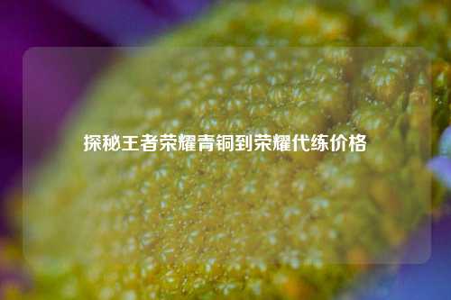 探秘王者荣耀青铜到荣耀代练价格