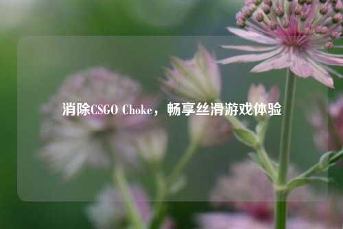 消除CSGO Choke，畅享丝滑游戏体验