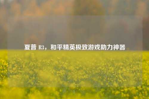 夏普 R3，和平精英极致游戏助力神器