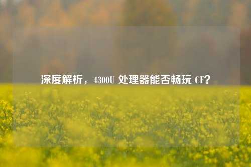 深度解析，4300U 处理器能否畅玩 CF？