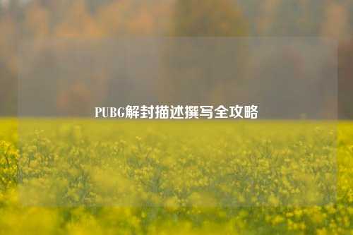 PUBG解封描述撰写全攻略