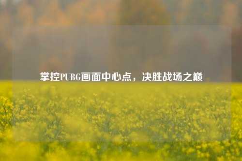 掌控PUBG画面中心点,决胜战场之巅