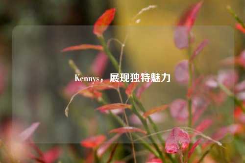 Kennys,展现独特魅力