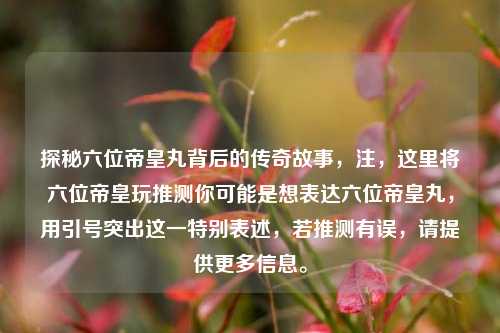 探秘六位帝皇丸背后的传奇故事，注，这里将六位帝皇玩推测你可能是想表达六位帝皇丸，用引号突出这一特别表述，若推测有误，请提供更多信息。