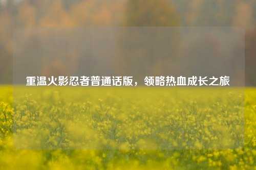 重温火影忍者普通话版，领略热血成长之旅