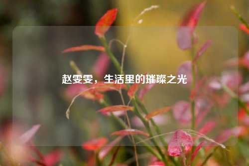 赵雯雯，生活里的璀璨之光