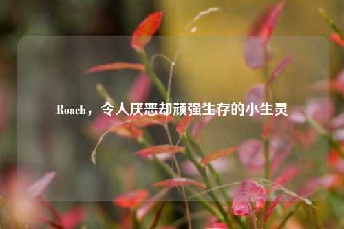 Roach，令人厌恶却顽强生存的小生灵