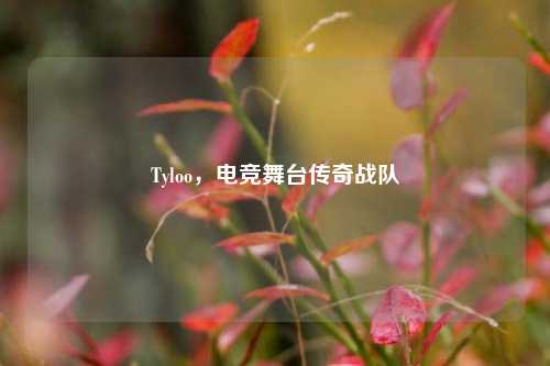 Tyloo，电竞舞台传奇战队