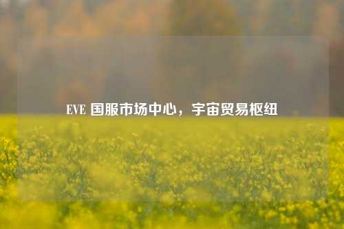 EVE 国服市场中心,宇宙贸易枢纽