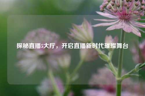 探秘直播5大厅，开启直播新时代璀璨舞台