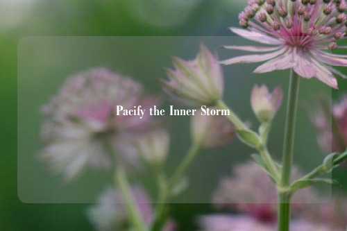 Pacify the Inner Storm